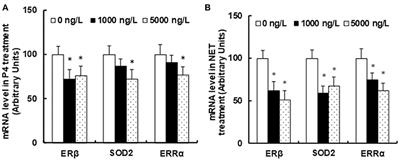 Prenatal Progestin Exposure Is Associated With Autism Spectrum Disorders